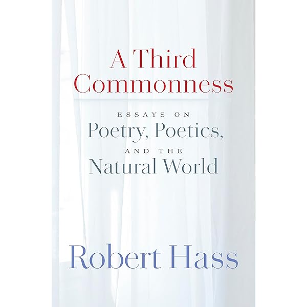 Amazon.com: Aesthetic Labour: 9781847870841: Warhurst, Chris