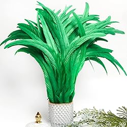 THARAHT 50PCS Rooster Coque Tail Feathers Bulk