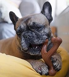 Nylabone Ergonomic Hold Wishbone Power Chew Toy for