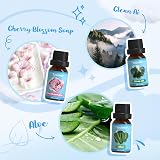 SALKING Clean Fragrance Oils Gift Set 6 Lemongrass Fresh Linen Aloe view 4