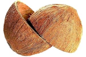 KC Creations® Coconut Shell Halves (2pcs)