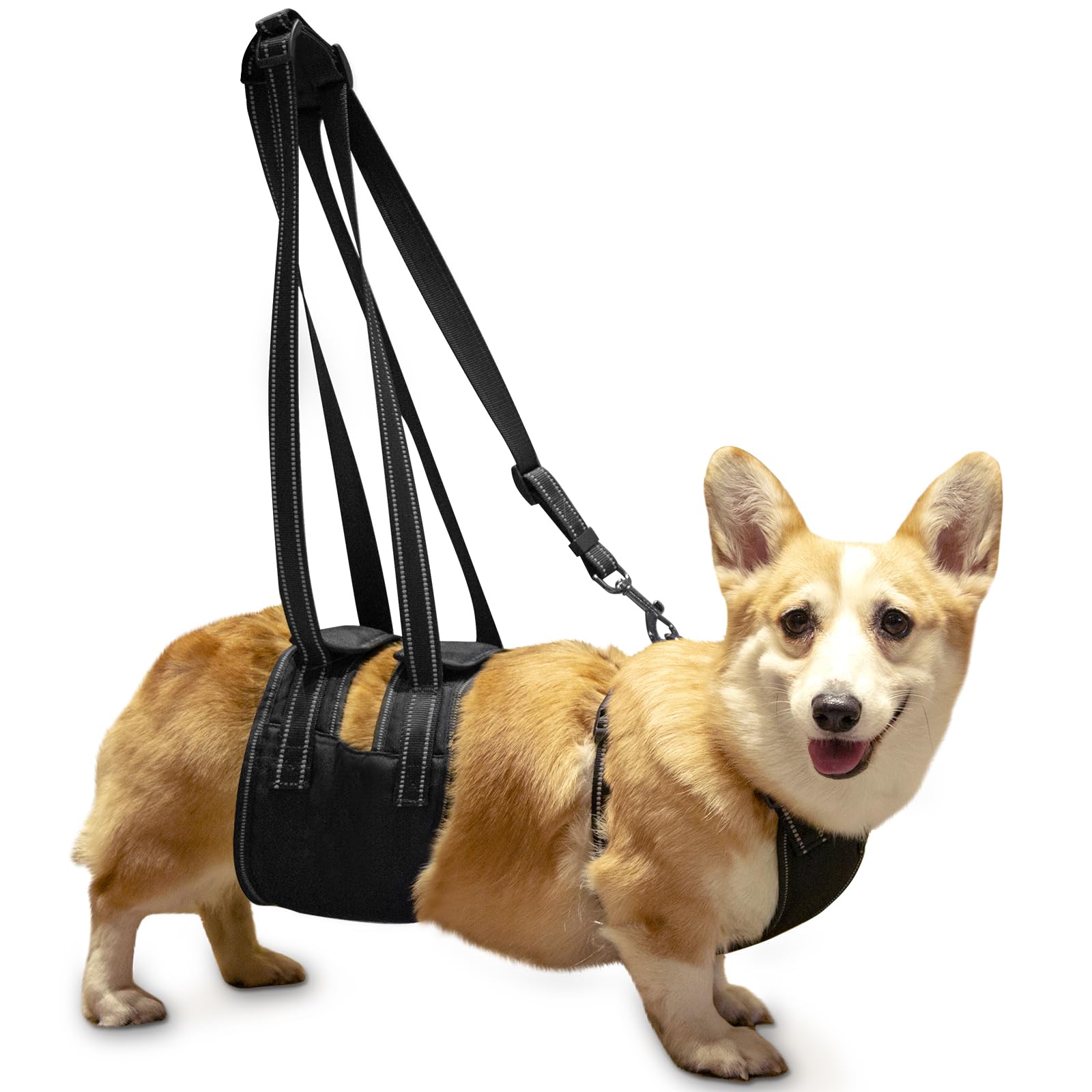 Ownpets Dog Support Harness Set, Support & Rehabilitation Sling with Adjustable Chest Strap,Assisted Strap & Hauling Cable, For Aged, Disable Dogs Needing Help with Mobility or Balance (M)
