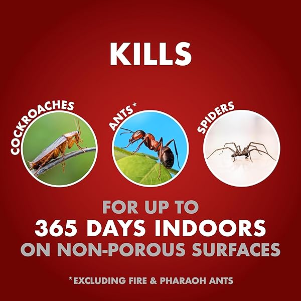 SPECTRACIDE ONE-SHOT HOME INSECT CONTROL, 1 GALLON, INSECTICIDE WITH ACCUSHOT SPRAYER FAST-DRYING FORMULA FOR RESIDENTIAL USE TO KILL 500+ LISTED INSECTS BY CONTACT
