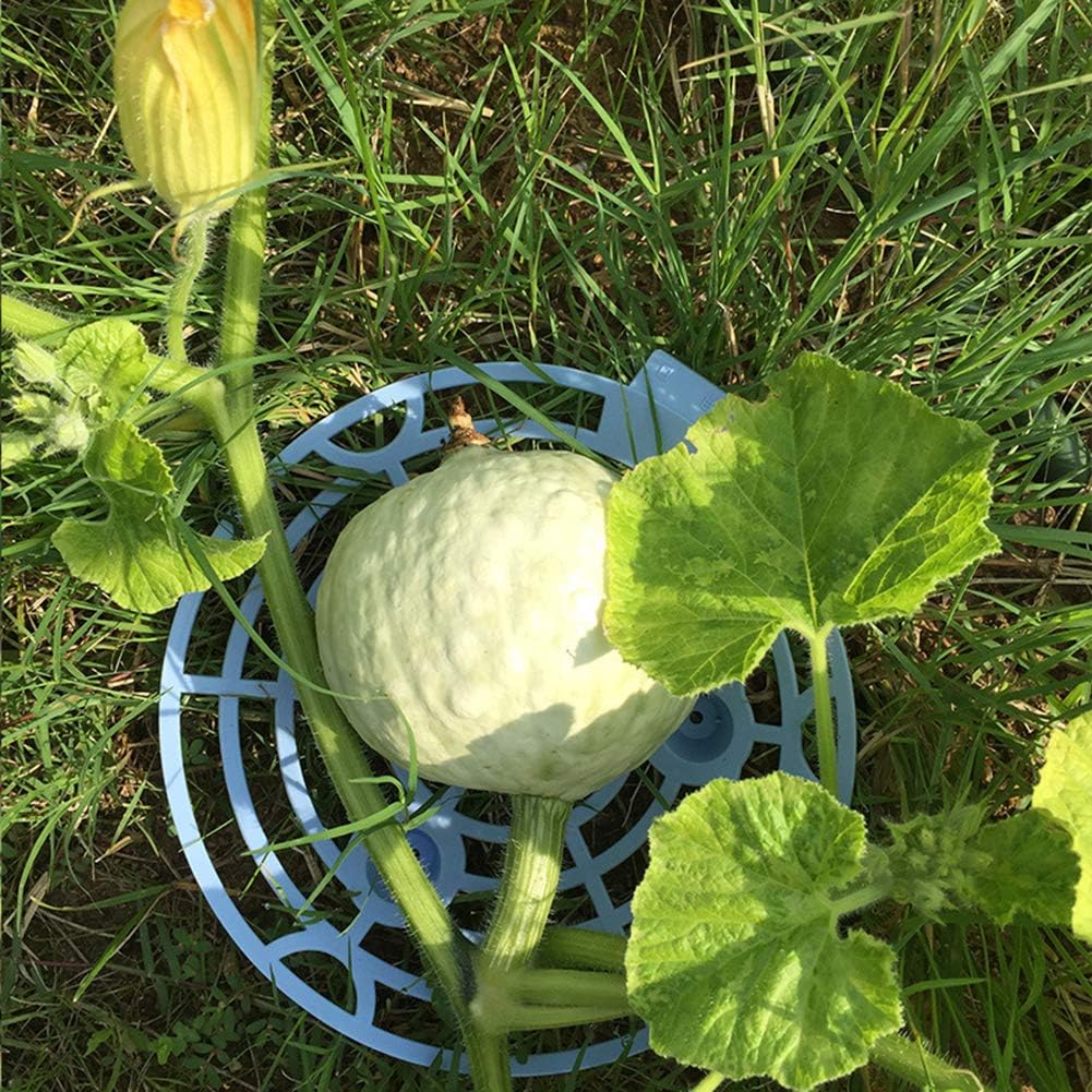 JYCRA Soporte de plástico para Plantas de melón, Soporte de ...