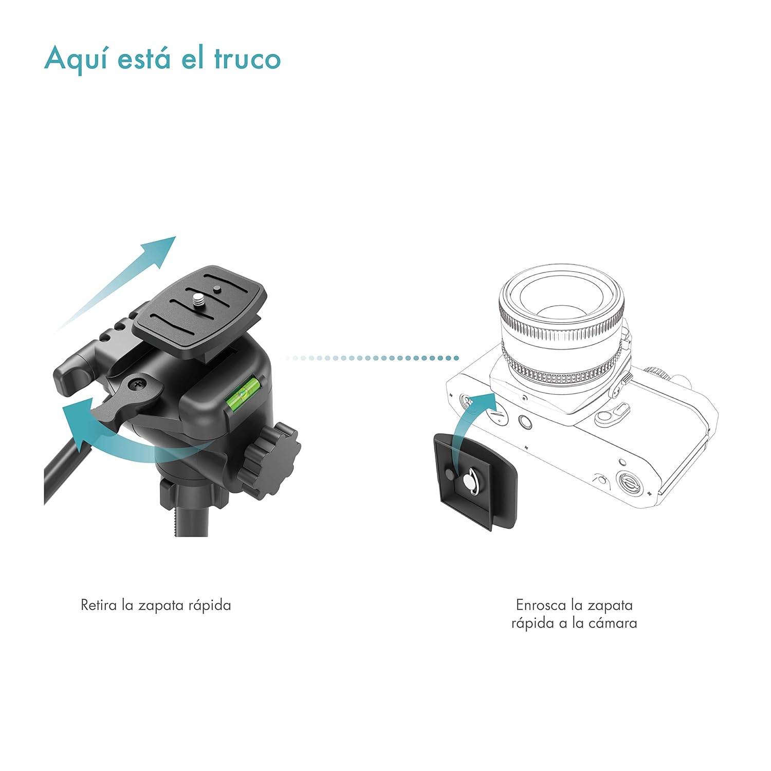 PAZZiMO trípode cámara réflex Negro para Canon, con rótula ...