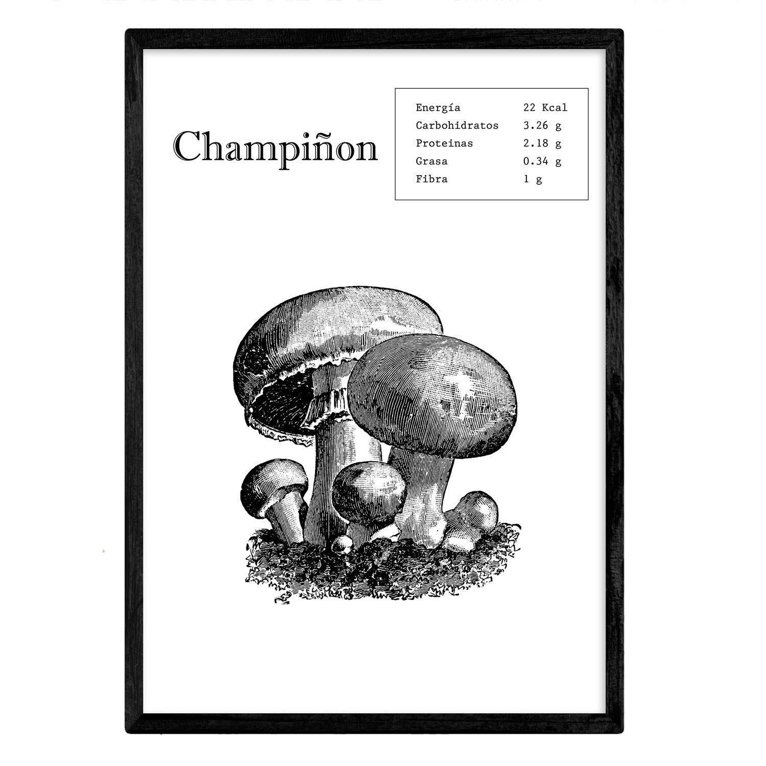Nacnic Poster mushroom. Pictures of fruit and vegetables. A4 size