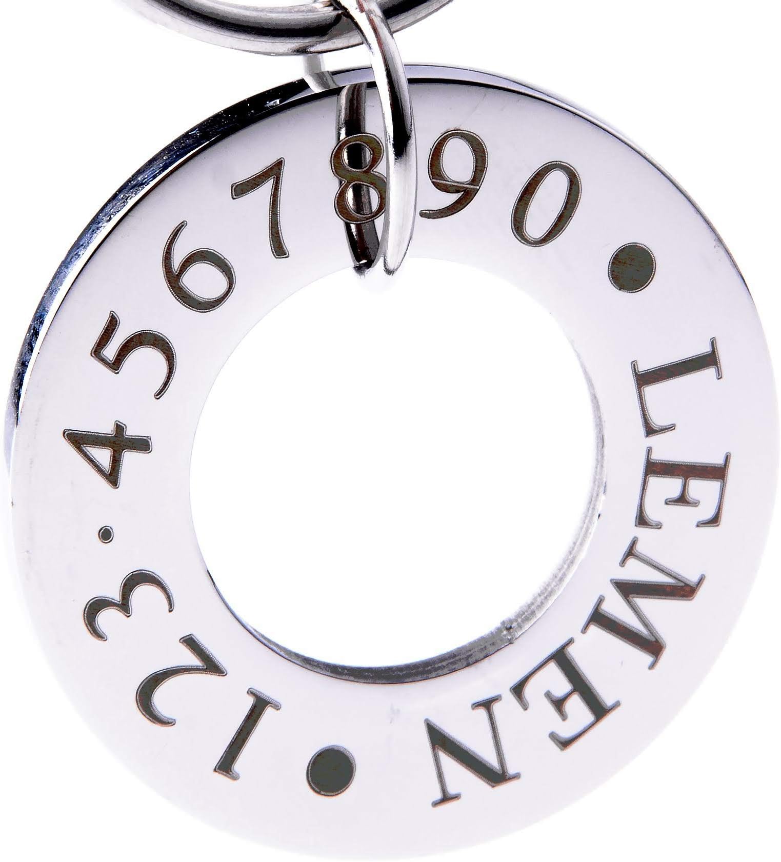Stainless Steel Custom Engraved Dog ID Tag for Pets, Personalized Pet Name Tags, Unique Pet Tag with Deep Engraving in Round Circle Shape
