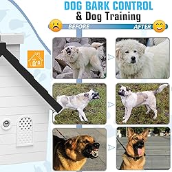 Durvet Bark Box, Dog Barking Control Device,Dog