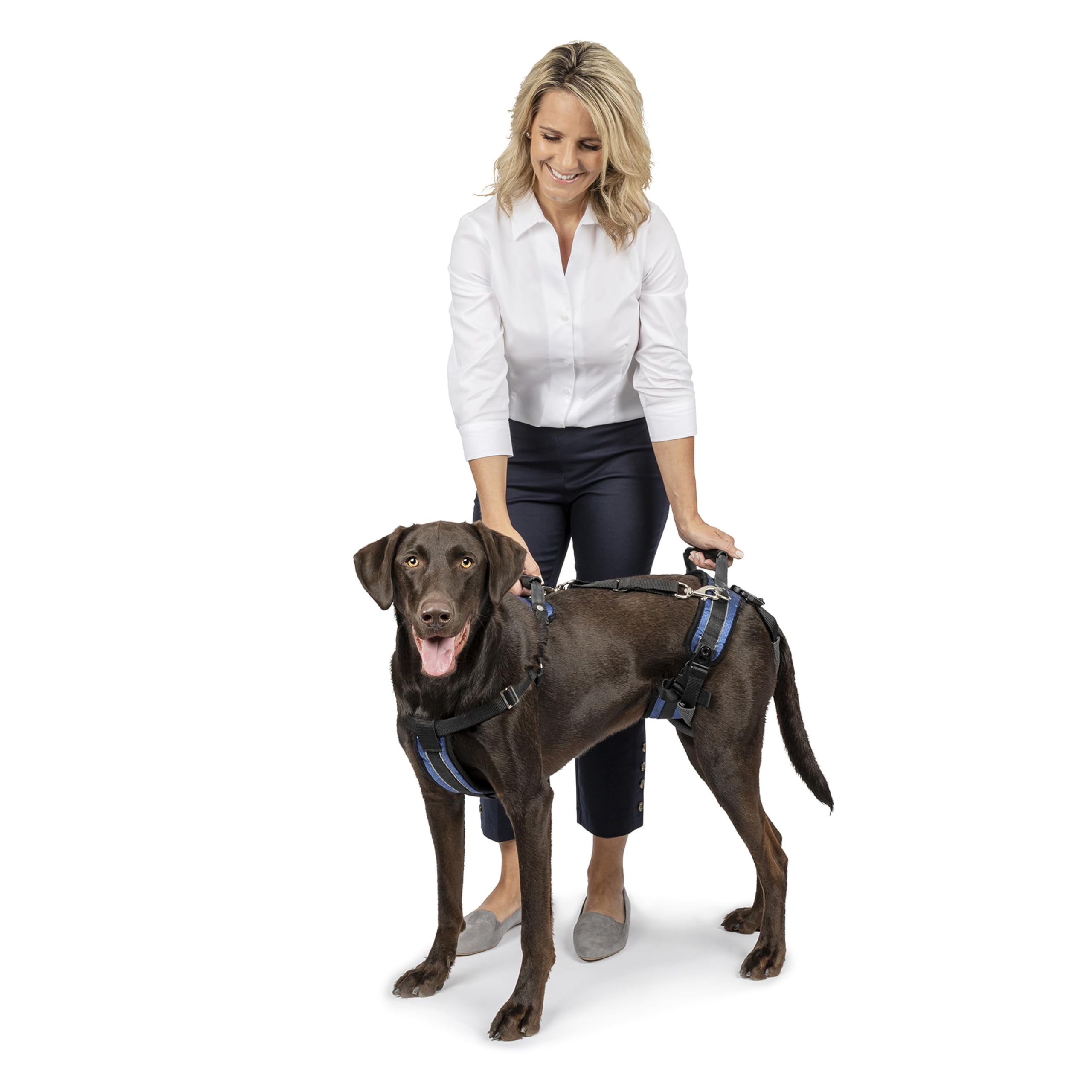 PetSafe CareLift - Support Harness - Full-Body Lifting- Large