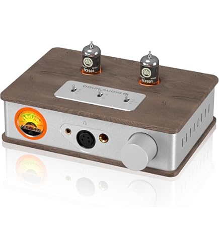 Amazon.com: XDUOO ROHM BD34301 DAC Card for XD05PRO Amp : Electronics