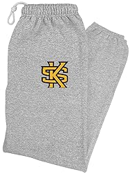 LOGOVISION Kennesaw State University Primary Logo