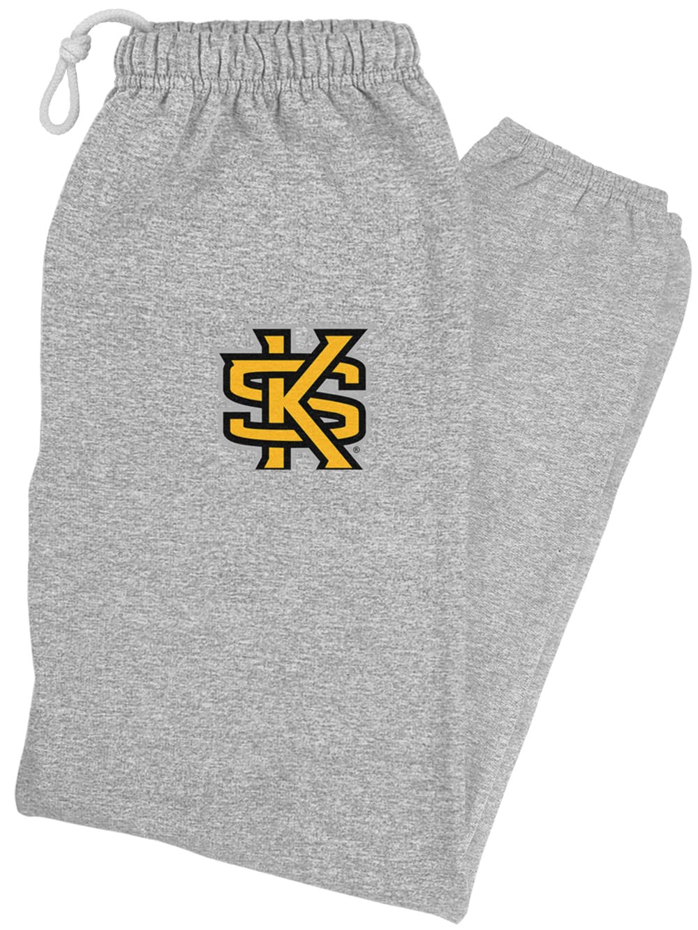 LOGOVISION Kennesaw State University Primary Logo