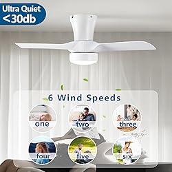 Dalouguan 31 inch Low Profile Ceiling Fans with