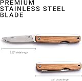 Whitby Pocket Knife Olive Wood Handle 2.25in Stainless Steel Folding EDC Knife view 4