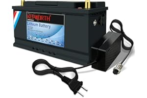 DEESPAEK 12V LiFePO4 Battery 100Ah, Lithium Batteries with Upgraded 100A BMS, UP to 4000+ Rechargeable Deep Cycles, Grade A Cells, for Marine, Camper, RV, Solar Power, Boat, Trolling Motor