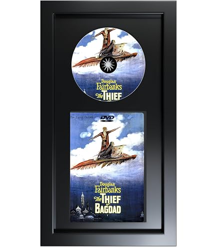 Amazon.com: DVD Frame for Disc and Thin Insert or Folded Booklet