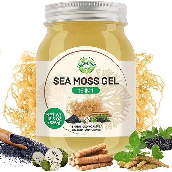 Amazon.com: Healistix Raw Sea Moss Gel [16 Oz] - Exquisitely