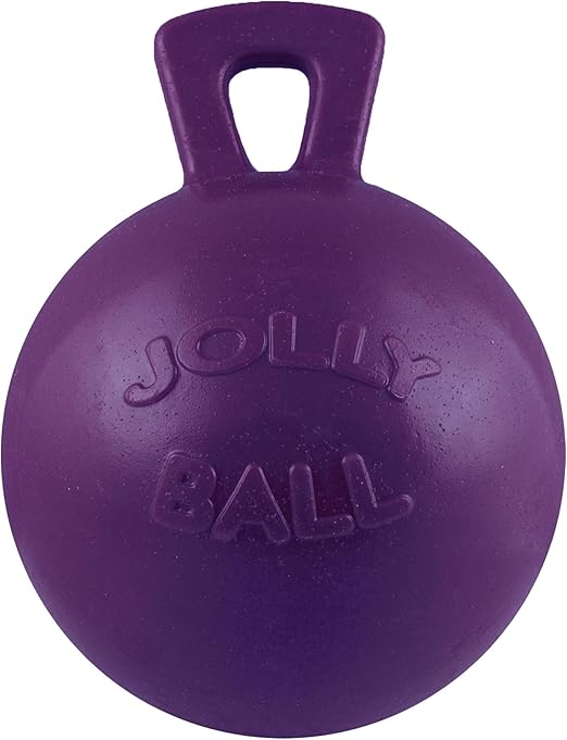 horse ball toy with handle