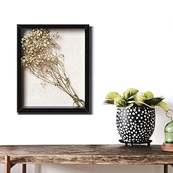 Califortree 8x10 Shadow Box Frame with Linen Back