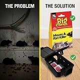 The Big Cheese Mouse & Rat Killer Pasta Sachet 10g x6 Difenacoum view 4