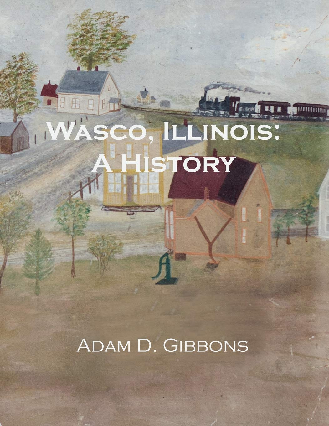 Wasco Illinois A History Adam Daniel Gibbons 9781732701601