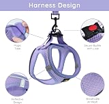 BELLA & PAL Dog Harness Leash Set XXS Purple Step-In Reflective Air Mesh view 3