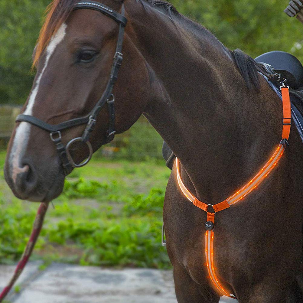 Horses BYJIN LED Flashing Horse Breastplates Collars Highly Visible