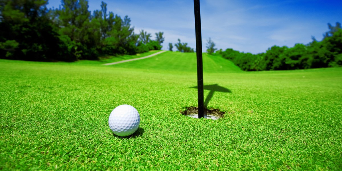 Image result for golf grass