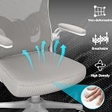naspaluro Ergonomic Office Desk Chair with Adjustable Headrest Gray view 4