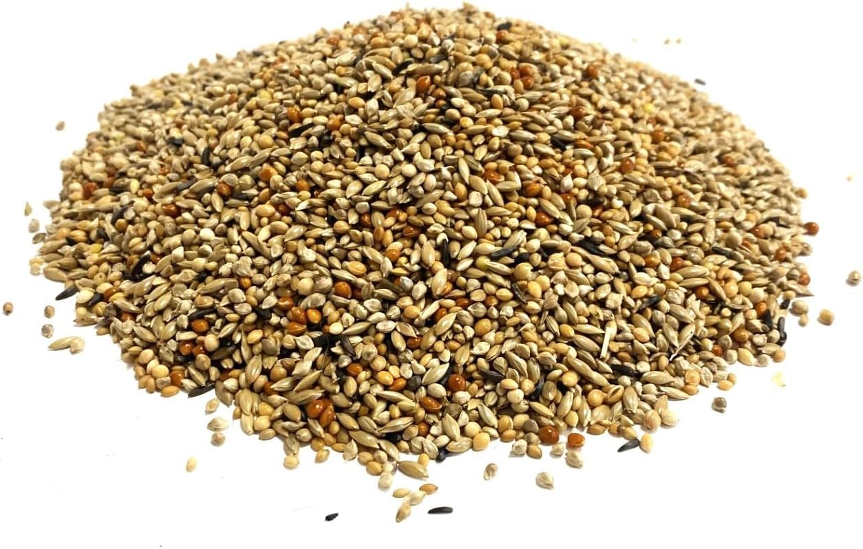 1.5kg ABZ Finch Seed XLJ