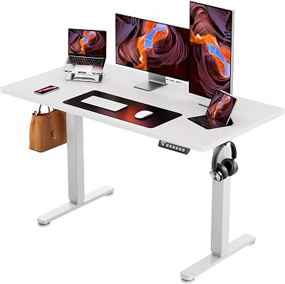 ErGear Electric Standing Desk 120 x 60 cm 4 Memory Height Adjustable