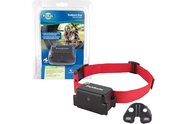 in ground shock collar