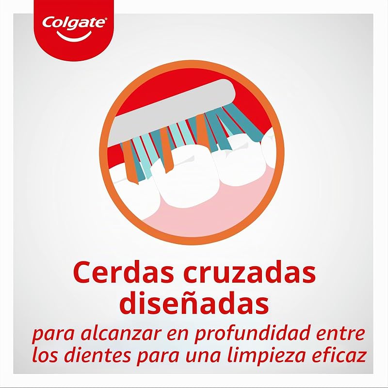 cepillo Zig Zag – Paquete de 12 cepillos