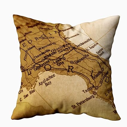 Amazon Com Capsceoll Bed Pillow Covers Sofa Throw Pillows Case