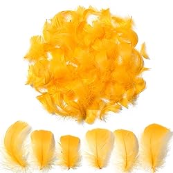 300pcs Golden Yellow Feathers 2-3 Inches Bulk