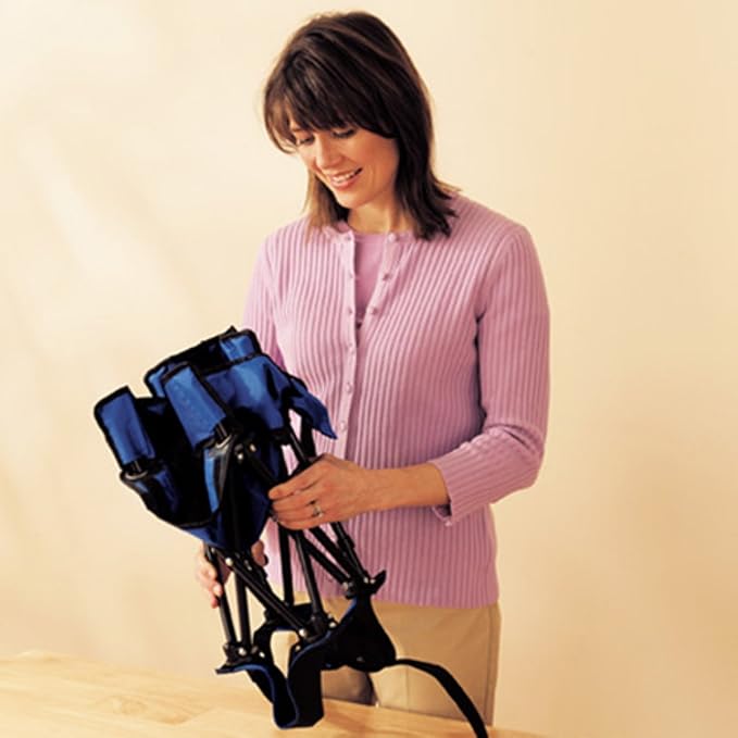 regalo my chair portable booster