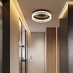 Jaycomey Modern LED Ceiling Light