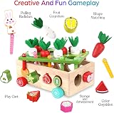 KMTJT Wooden Montessori Farm Harvest Shape Sorting Toy for Toddlers 1-3 view 3