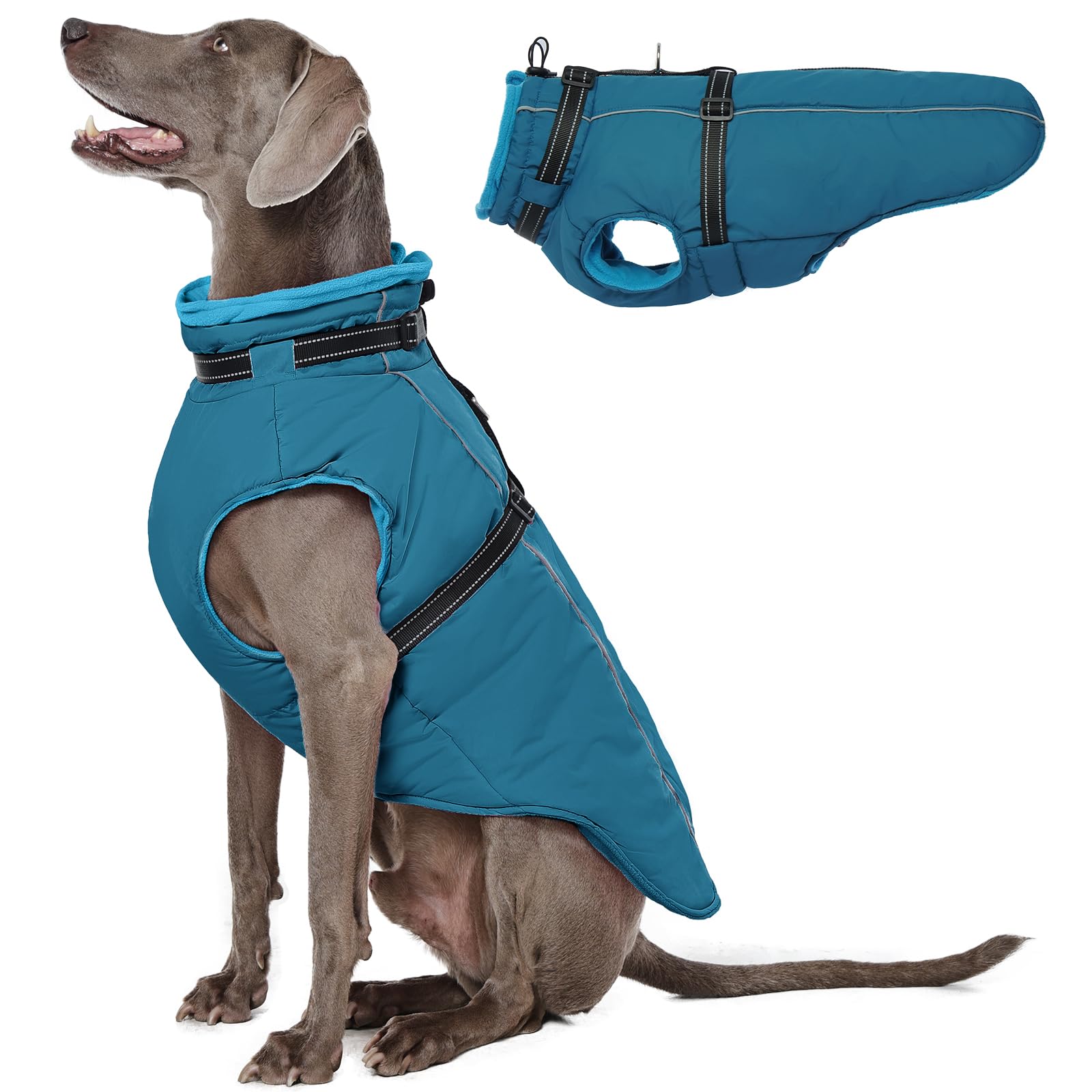Lelepet Winter Warm Dog Jacket with Built-in Harness, Windproof Fleece Lined Coat for Large Dogs, Reflective Cold Weather Vest with Adjustable Buckle, Border Collie, Blue XL