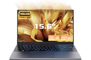 15.6 Inch Laptop Computer, AMD Ryzen 3 3200U Processor, 8GB RAM, 256GB SSD, Office 2024,Numpad, Full HD IPS 1920x1080 Display