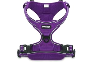 BEST PET SUPPLIES Voyager Dog Harness Dual Leash Attachment No-Pull Control Adjustable Soft but Strong Pet Harness for Medium and Large Dogs with 3M Reflective Technology - Purple Lattice, M (Chest: 20 - 25")
