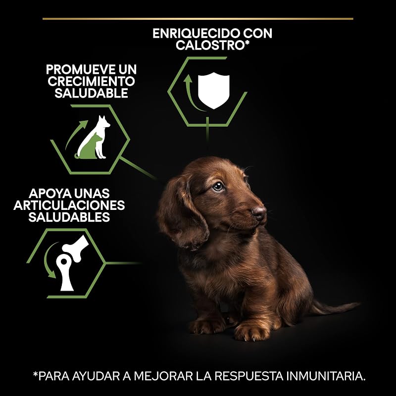Small&Mini Puppy Start pienso perro Cachorro con calostro 8x700 g