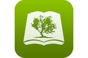 Bible by Olive Tree