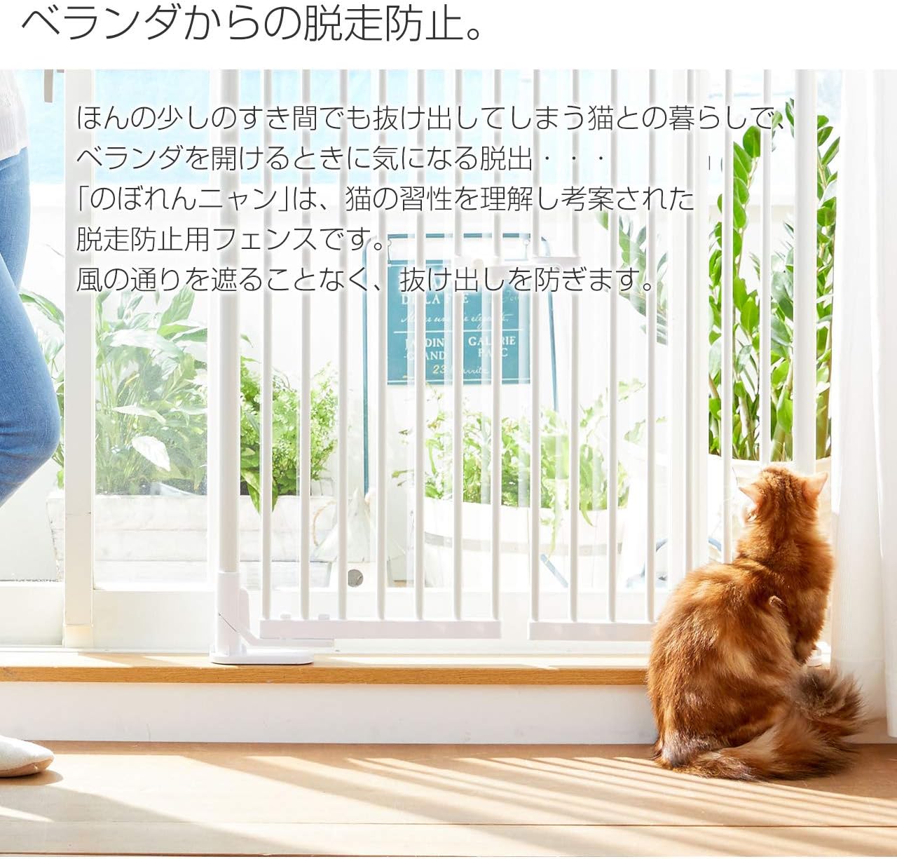 Amazon 旧モデル のぼれんニャンバリアフリー ｐｅｔ ｓｅｌｅｃｔ 猫 通販