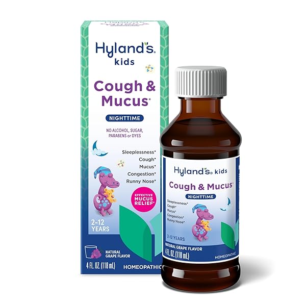 HYLAND’S KIDS NIGHTTIME COUGH SYRUP AND MUCUS RELIEF,...