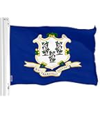 Amazon.com : XIFAN Double Sided Connecticut State Flag 3x5 ft