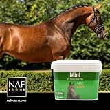 NAF Mint 500g Pure Dried Mint Leaves for Horses Digestive Support Palatability view 4