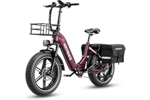 Heybike Ranger S Electric Bike for Adults, Foldable 1400W Peak Motor Ebike, 20" x 4.0 Fat Tire Step-Thru Electric Bicycle, 48V 14.4AH Removable Battery Commuter E Bike, 7-Speed Hydraulic Fork
