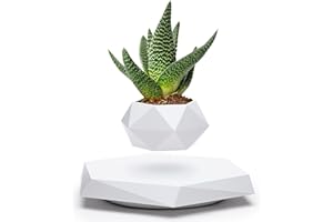 YFUG GO BandD Floating Plant Pot - Levitating Plant Pot for Succulents, air Bonsai & air Plants. Floating Planter for Home, Office & Desk Levitating Decor. Magnetic Floating Levitating Display. (White)
