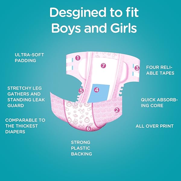 LITTLEFORBIG ADULT PRINTED DIAPER 10 PIECES – NURSERY PINK (MEDIUM 28″-38″)